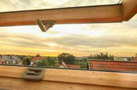 rated Dunduff roof window companies